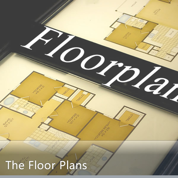 Spacious Floor Plans